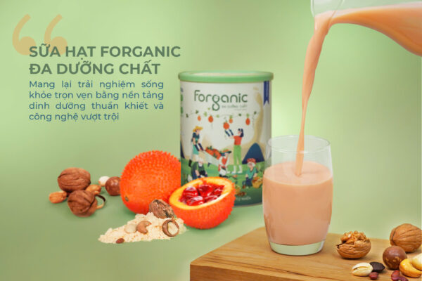 Chức năng nổi bật nhất của Sữa hạt Forganic Đa Dưỡng Chất