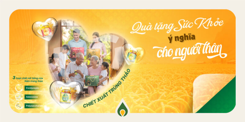 Nấm trùng thảo cho người cao tuổi