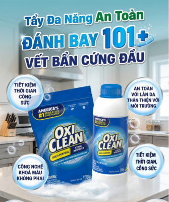 vệ sinh nhà cửa