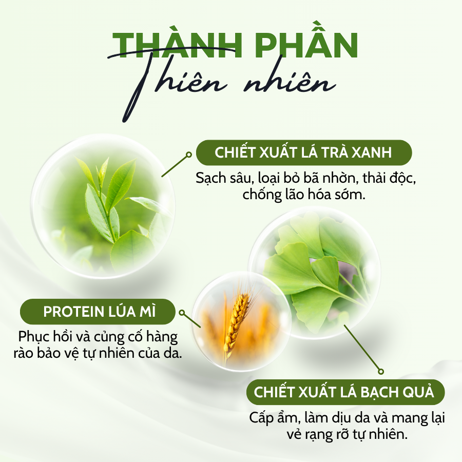 SRM với chiết xuất trà xanh và lá bạch quả