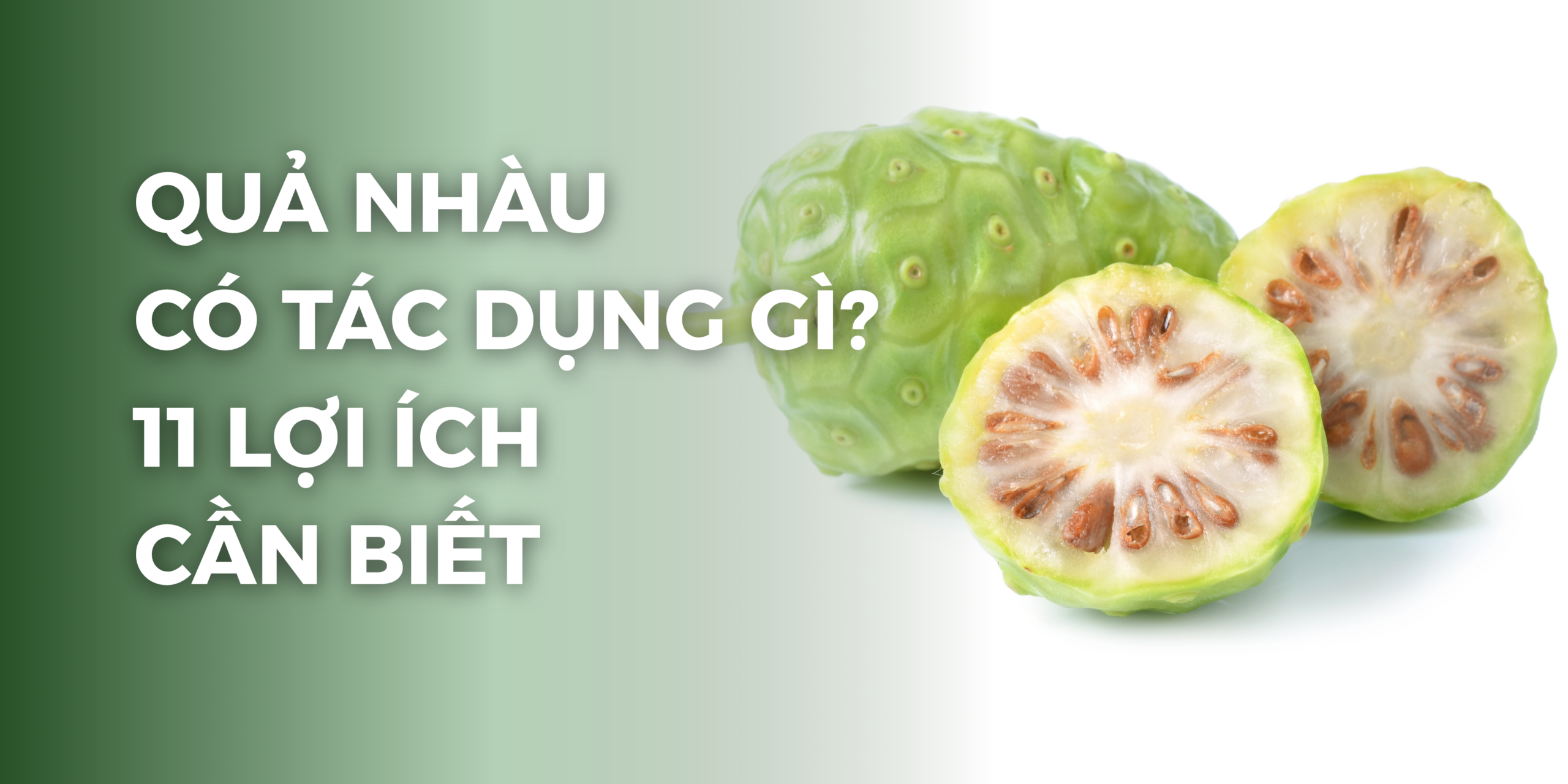 Công dụng quả nhàu